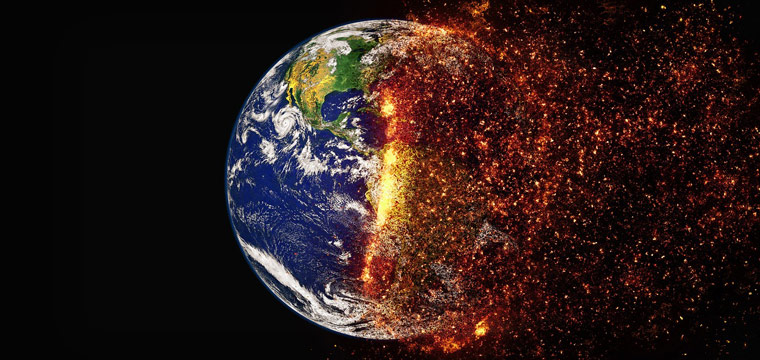 impact-ecologique impact écologique